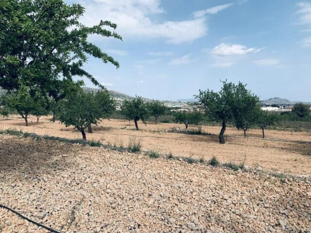 Ubebygd land til salgs i La Romana - € 139 950 (Ref: 8703790)