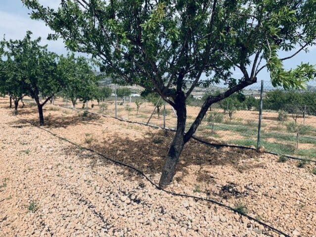 Ubebygd land til salgs i La Romana - € 139 950 (Ref: 8703790)