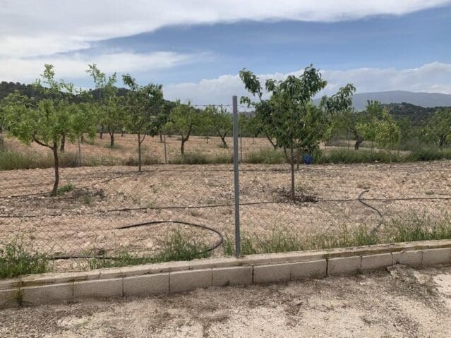 4 bedroom Villa for sale in Pinoso - € 179,900 (Ref: 8703796)