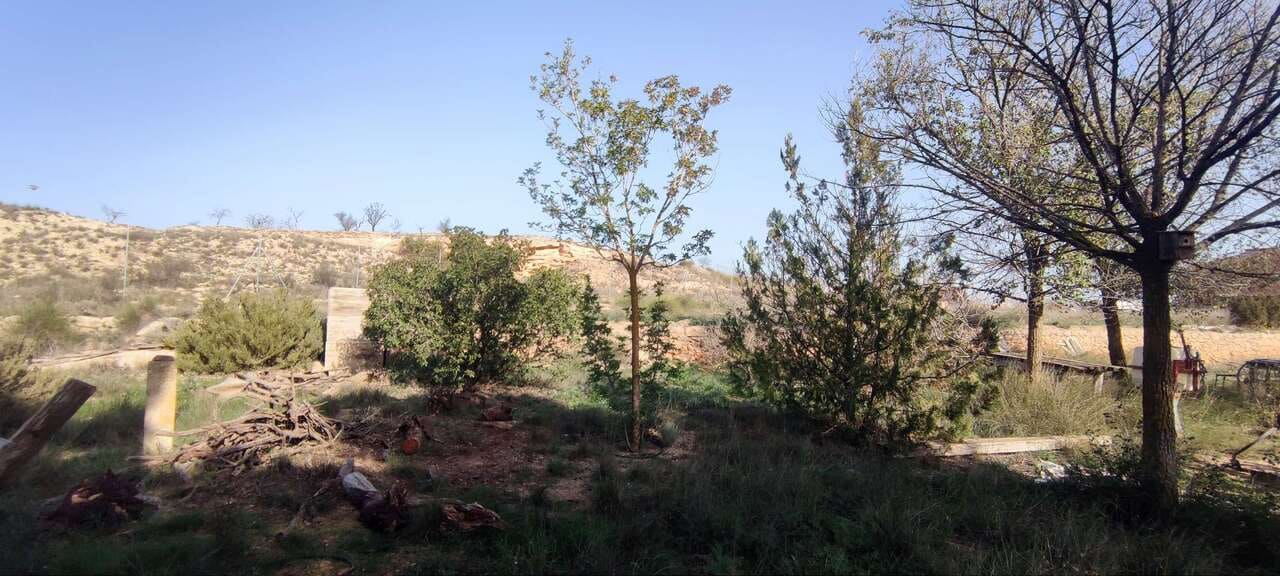 4 slaapkamer Finca/Landhuis te koop in Pinoso - € 179.500 (Ref: 8703819)