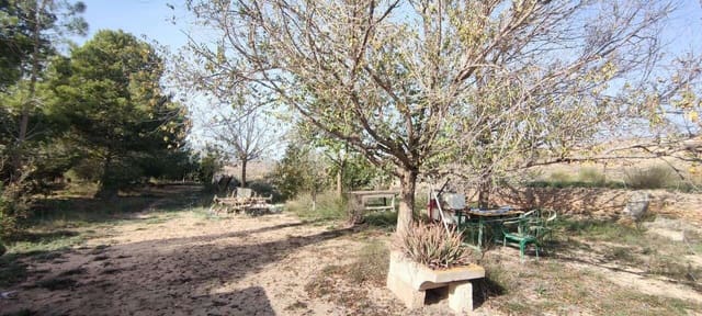 4 bedroom Finca/Country House for sale in Pinoso - € 179,500 (Ref: 8703819)