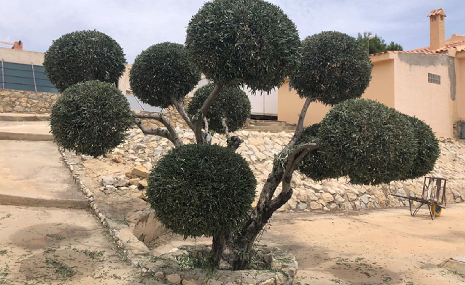 6 sypialnia Komercyjne na sprzedaż w Miasto Alicante / Alacant z basenem garażem - 499 995 € (Ref: 8703827)