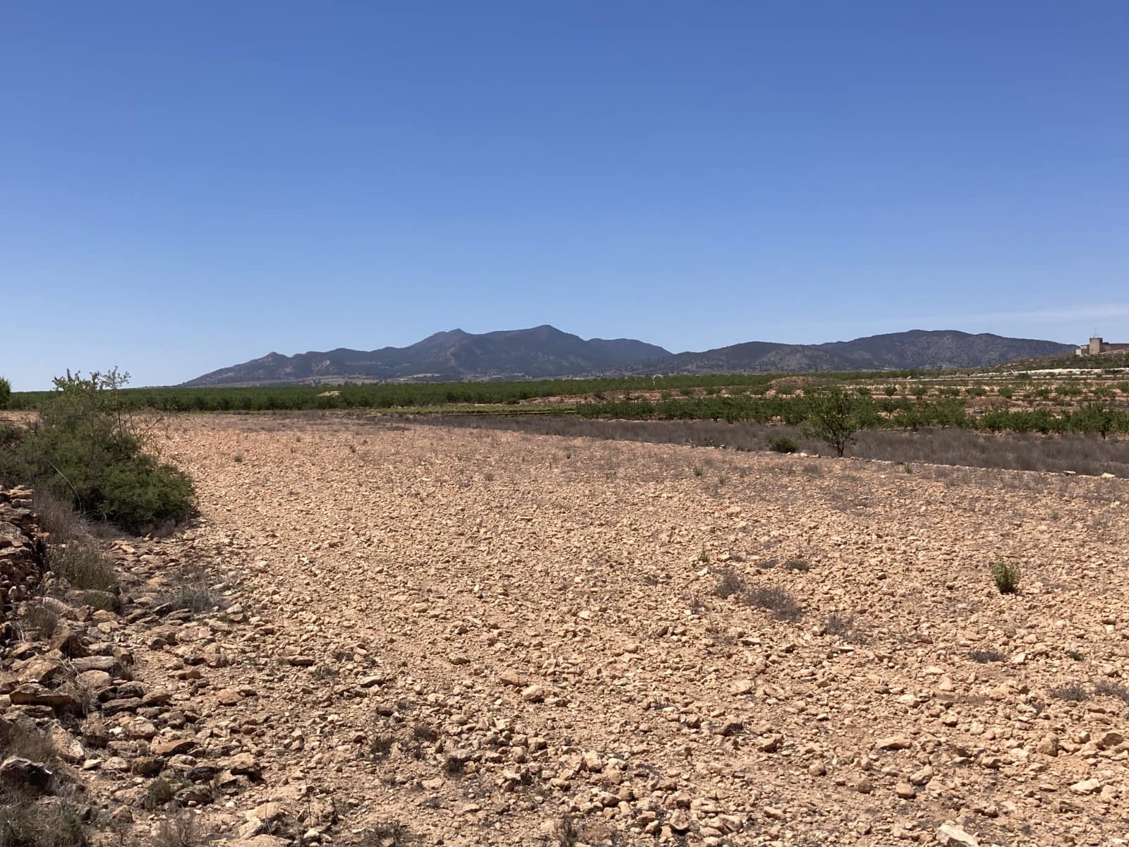 Undeveloped Land for sale in Pinoso - € 69,500 (Ref: 8703845)