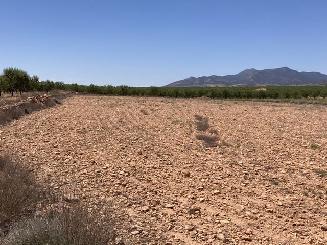 Mark till salu i Pinoso - 69 500 € (Ref: 8703845)