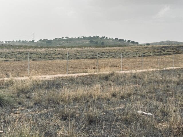 Undeveloped Land for sale in Torre del Rico, Jumilla - € 19,500 (Ref: 8703868)