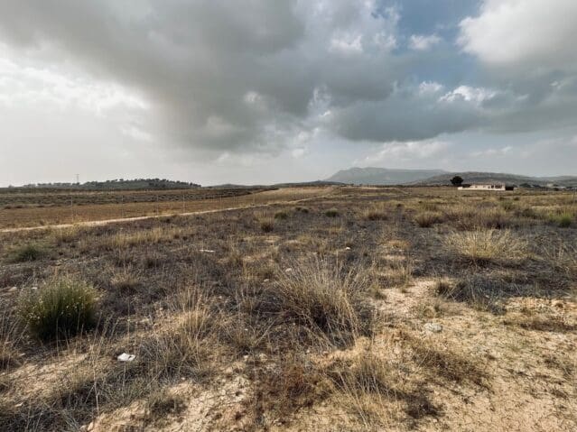 Undeveloped Land for sale in Torre del Rico, Jumilla - € 19,500 (Ref: 8703868)