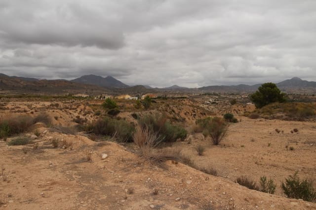 Teren niezagospodarowany na sprzedaż w Abanilla - 43 000 € (Ref: 8703887)