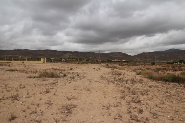 Teren niezagospodarowany na sprzedaż w Abanilla - 43 000 € (Ref: 8703887)