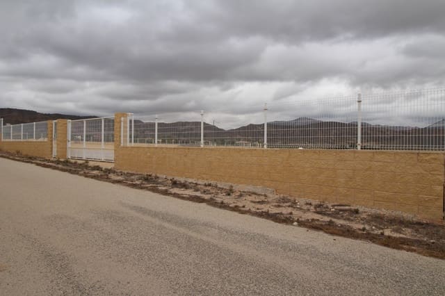 Teren niezagospodarowany na sprzedaż w Abanilla - 36 000 € (Ref: 8703888)