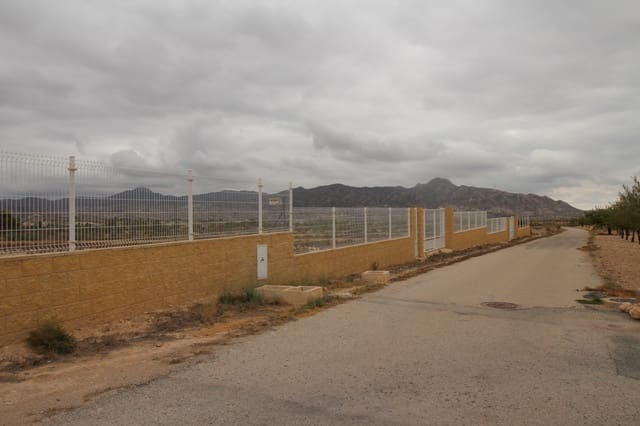 Teren niezagospodarowany na sprzedaż w Abanilla - 36 000 € (Ref: 8703888)