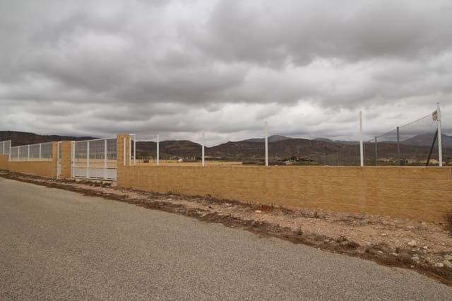 Teren niezagospodarowany na sprzedaż w Abanilla - 36 000 € (Ref: 8703888)