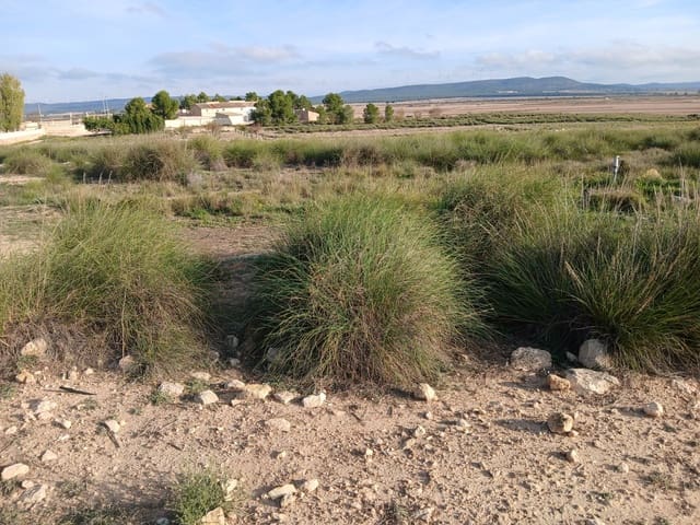 Mark till salu i Yecla - 28 000 € (Ref: 8703893)