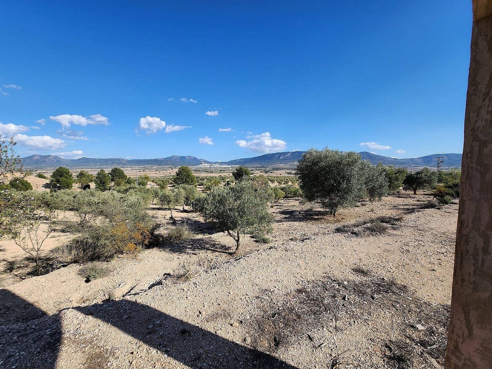 1 soveværelse Finca/Landehus til salg i Villena - € 56.500 (Ref: 8763687)