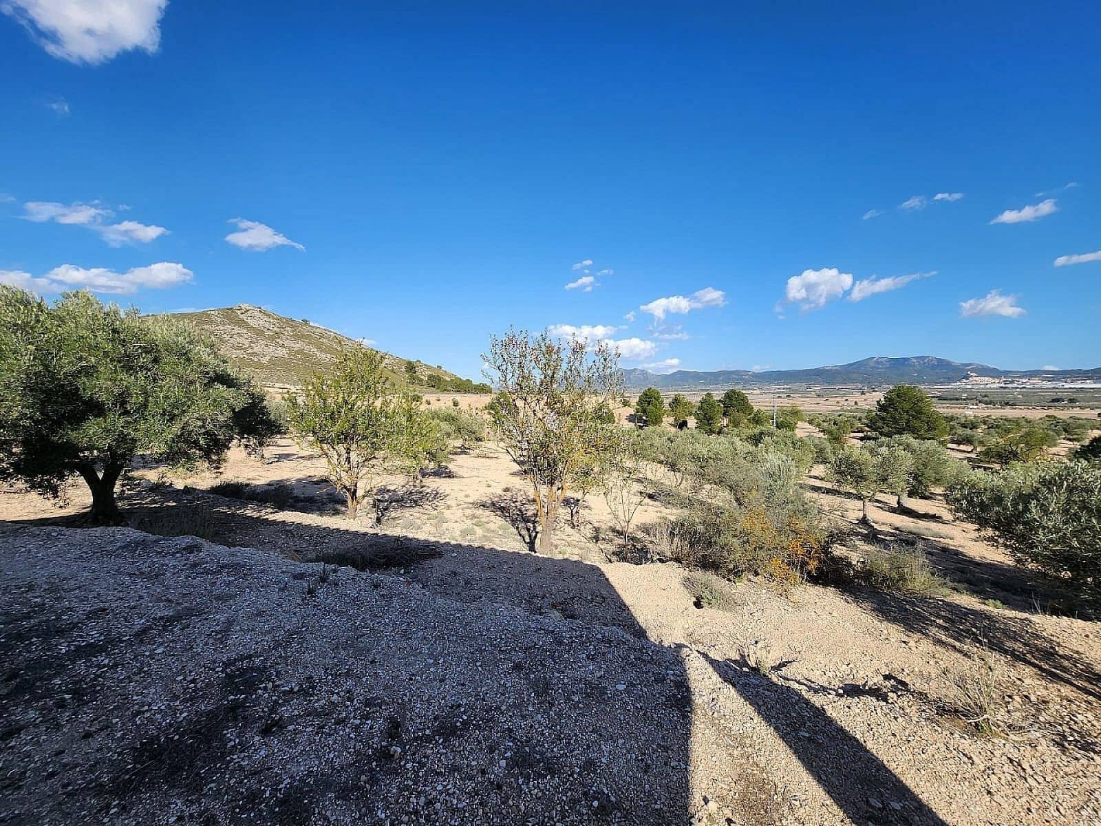 1 soveværelse Finca/Landehus til salg i Villena - € 56.500 (Ref: 8763687)