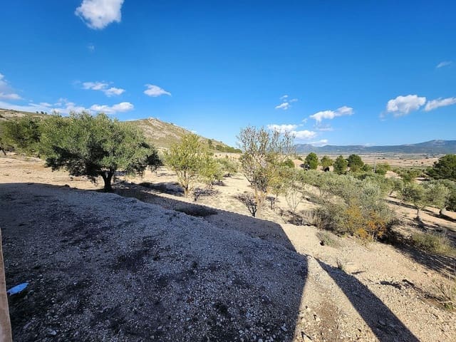 1 bedroom Finca/Country House for sale in Villena - € 56,500 (Ref: 8763687)