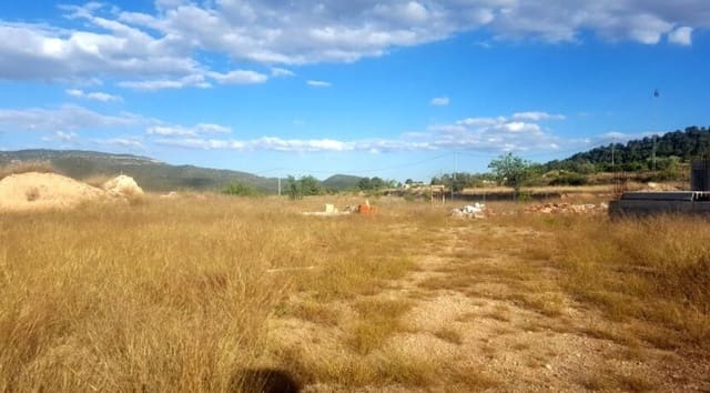 Undeveloped Land for sale in Monóvar / Monóver - € 69,999 (Ref: 8780480)
