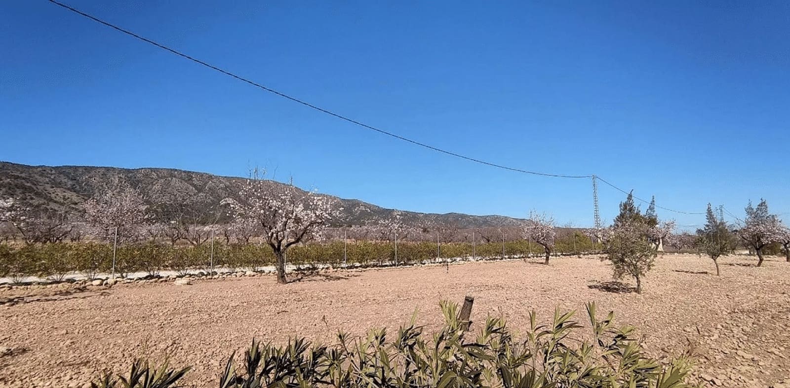 4 bedroom Villa for sale in Pinoso - € 475,000 (Ref: 8780484)