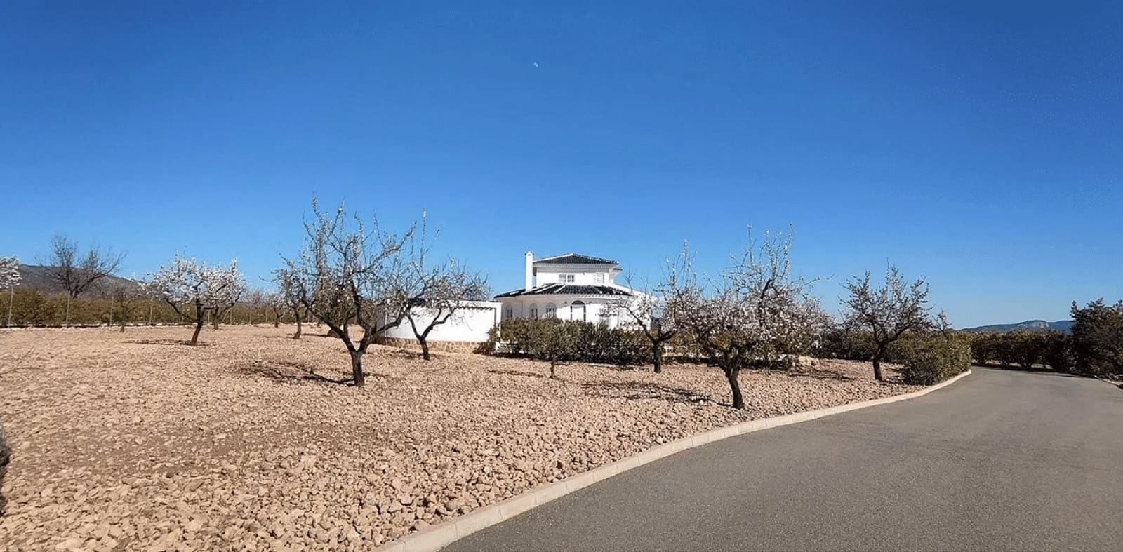 4 bedroom Villa for sale in Pinoso - € 475,000 (Ref: 8780484)