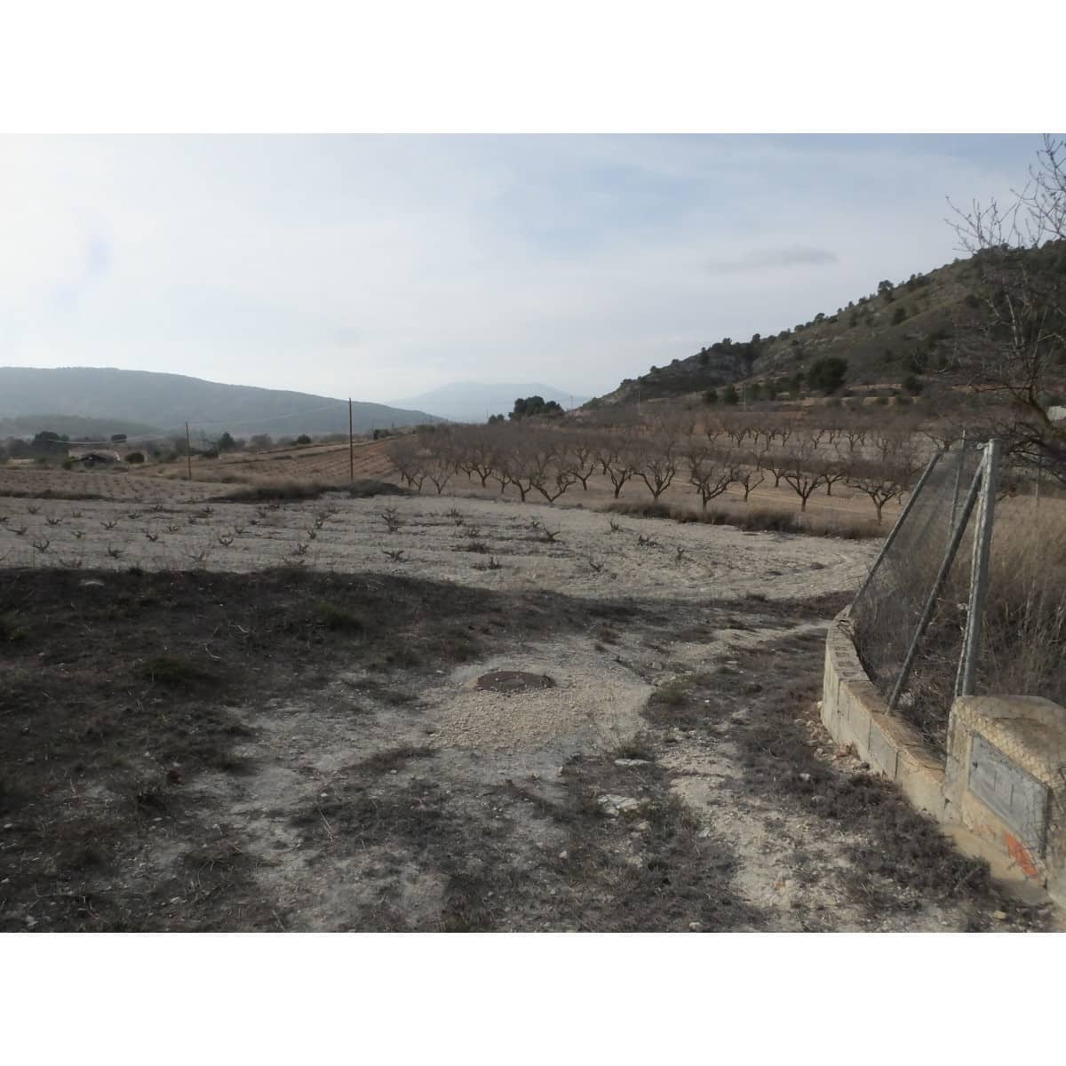 2 soveværelse Hulehus til salg i Pinoso - € 65.995 (Ref: 8821949)