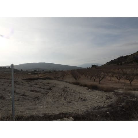 2 quarto Casa de Caverna para venda em Pinoso - 65 995 € (Ref: 8821949)