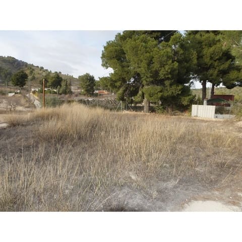 2 quarto Casa de Caverna para venda em Pinoso - 65 995 € (Ref: 8821949)