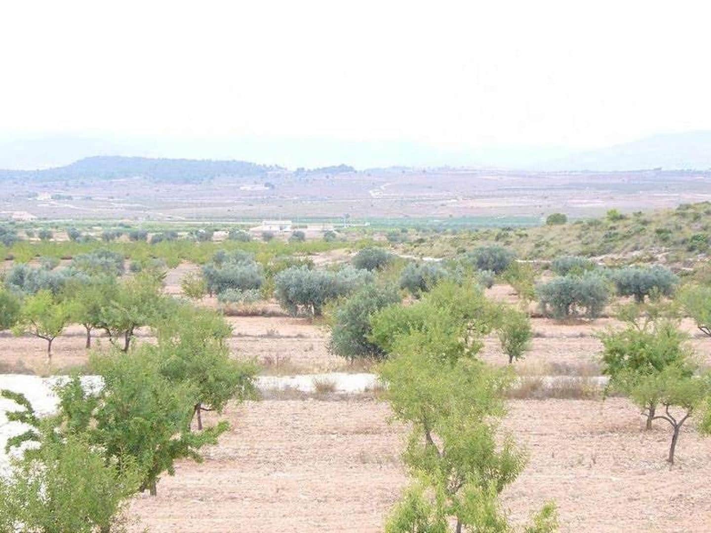 Chalet de 4 habitaciones en Pinoso en venta con piscina garaje - 375.000 € (Ref: 8844054)