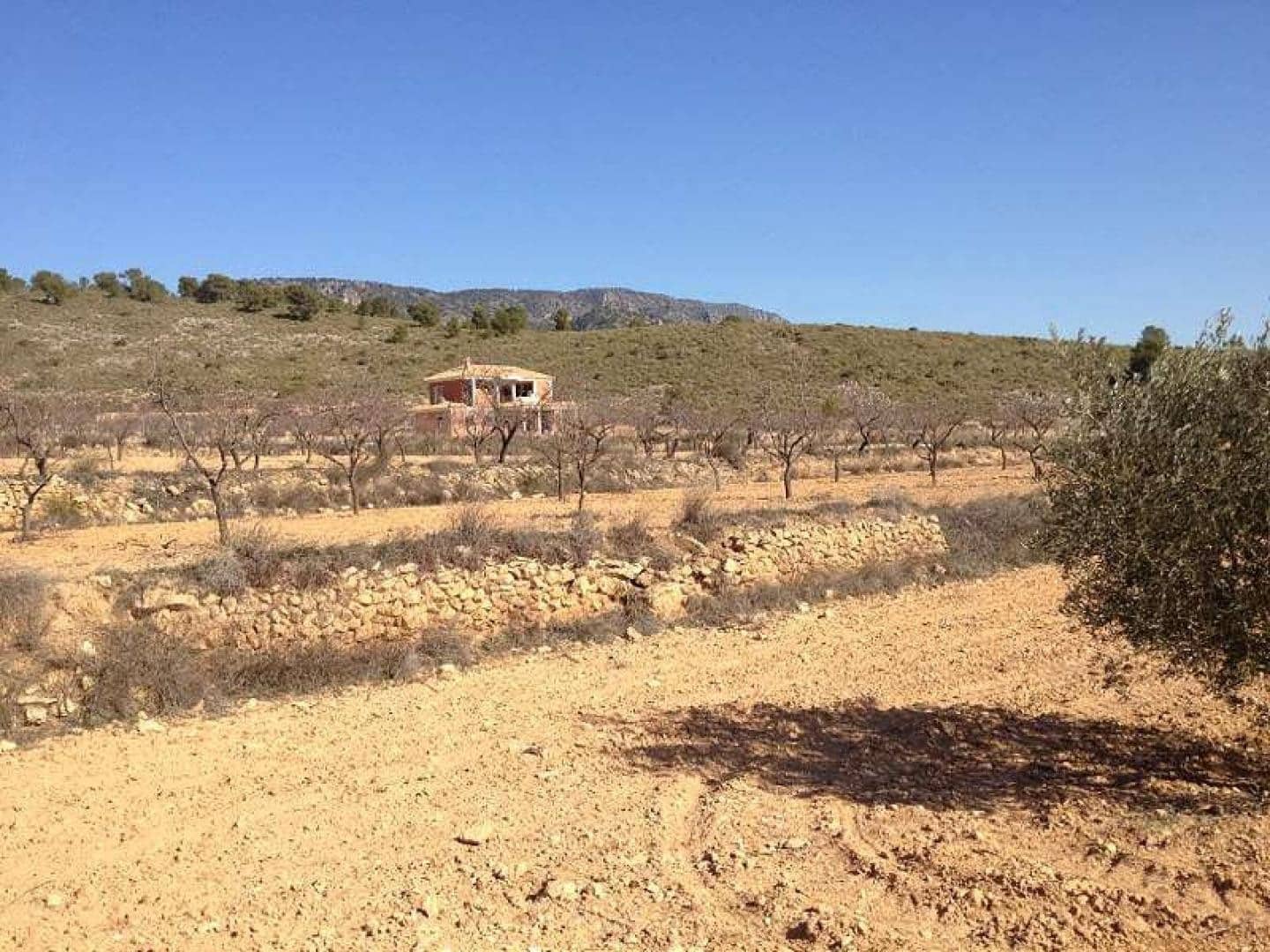 Chalet de 4 habitaciones en Pinoso en venta con piscina garaje - 375.000 € (Ref: 8844054)