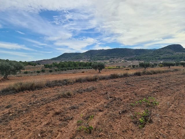 Mark till salu i Pinoso - 35 000 € (Ref: 8864712)