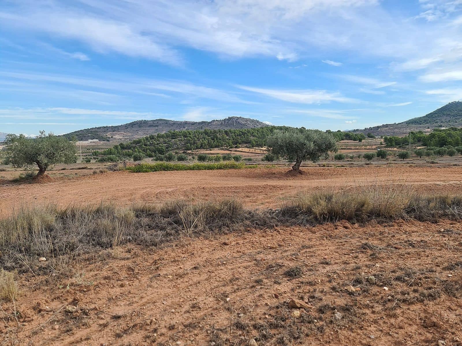Undeveloped Land for sale in Pinoso - € 35,000 (Ref: 8864712)