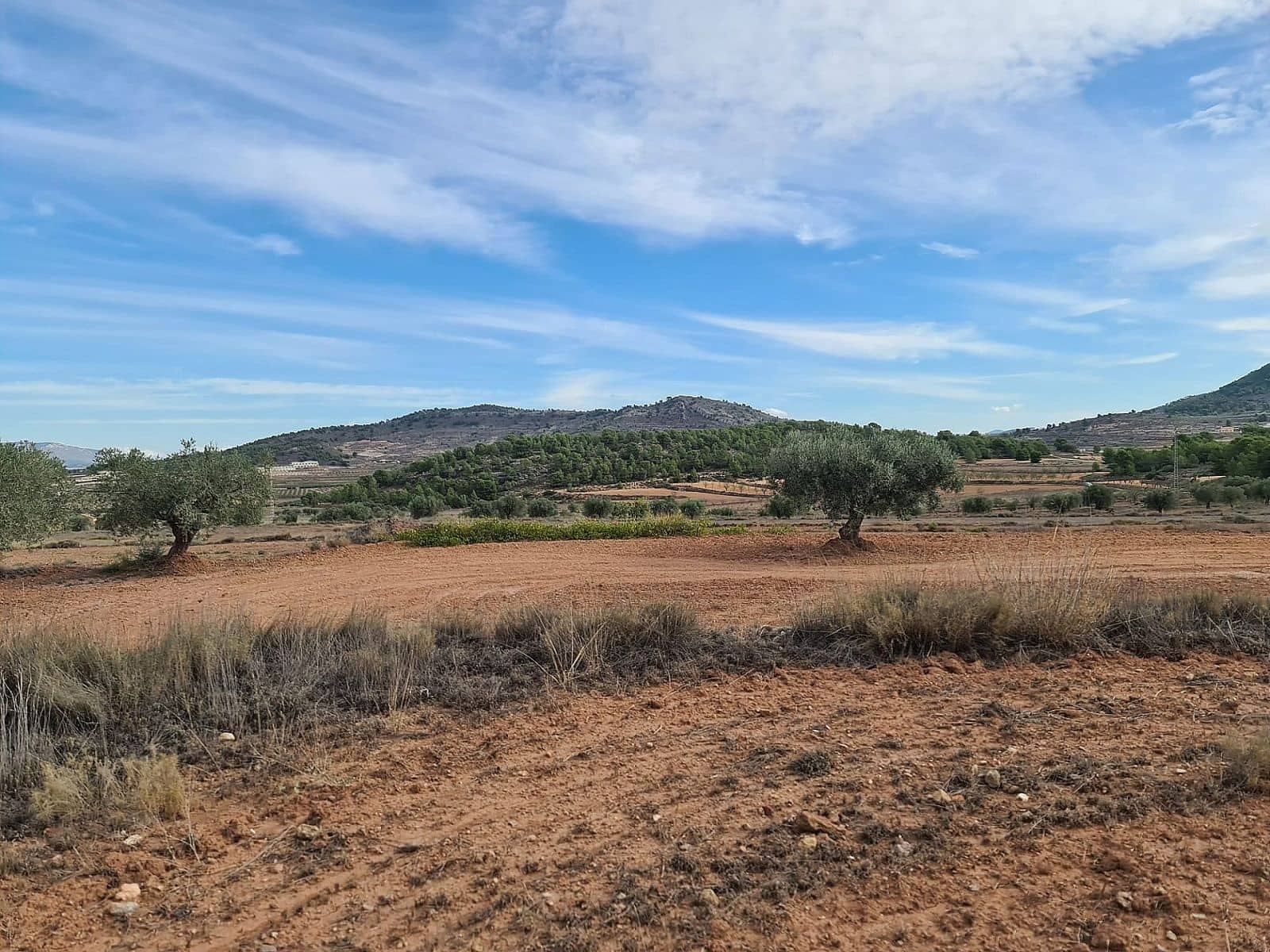Undeveloped Land for sale in Pinoso - € 35,000 (Ref: 8864712)