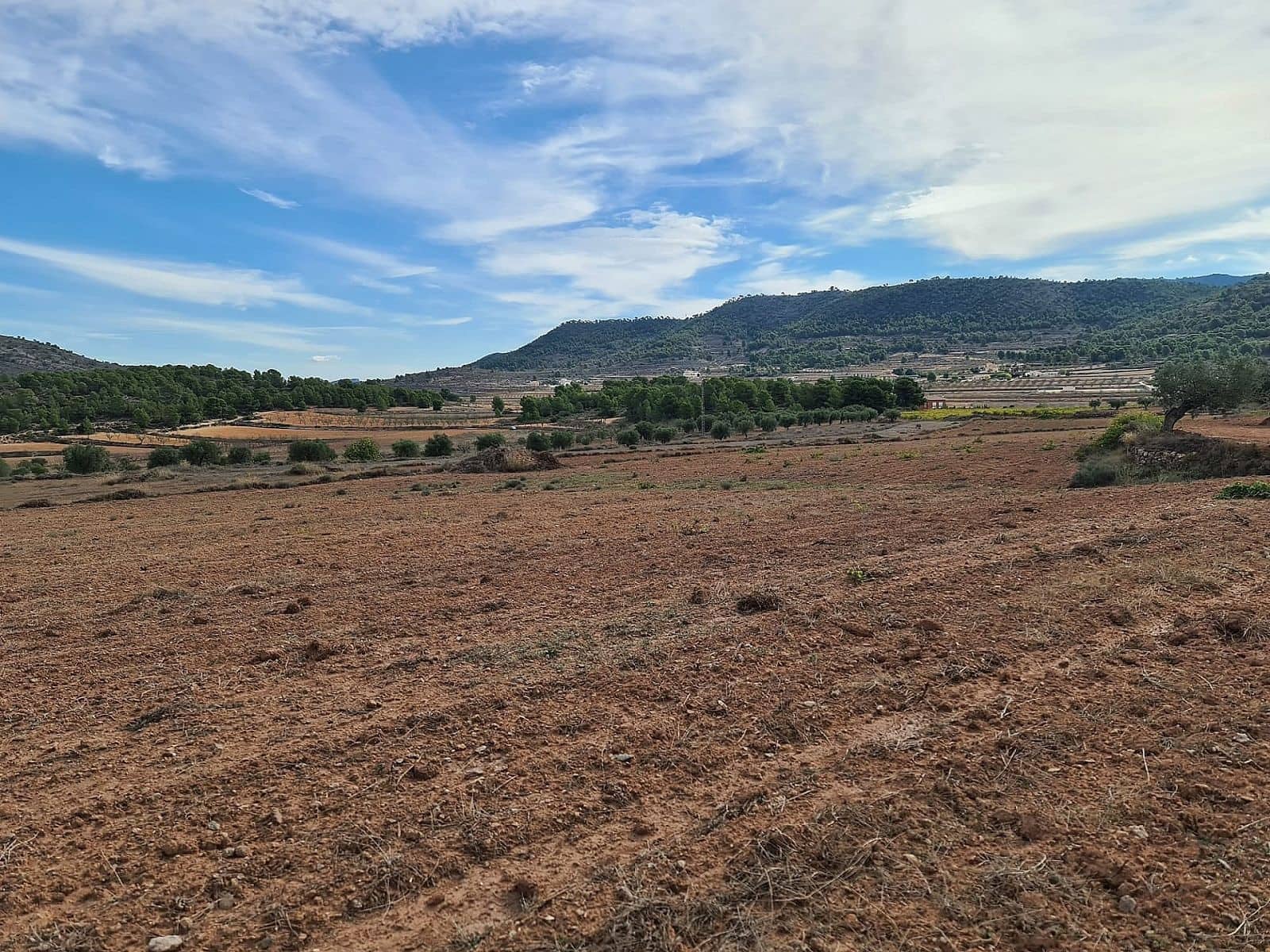 Undeveloped Land for sale in Pinoso - € 35,000 (Ref: 8864712)
