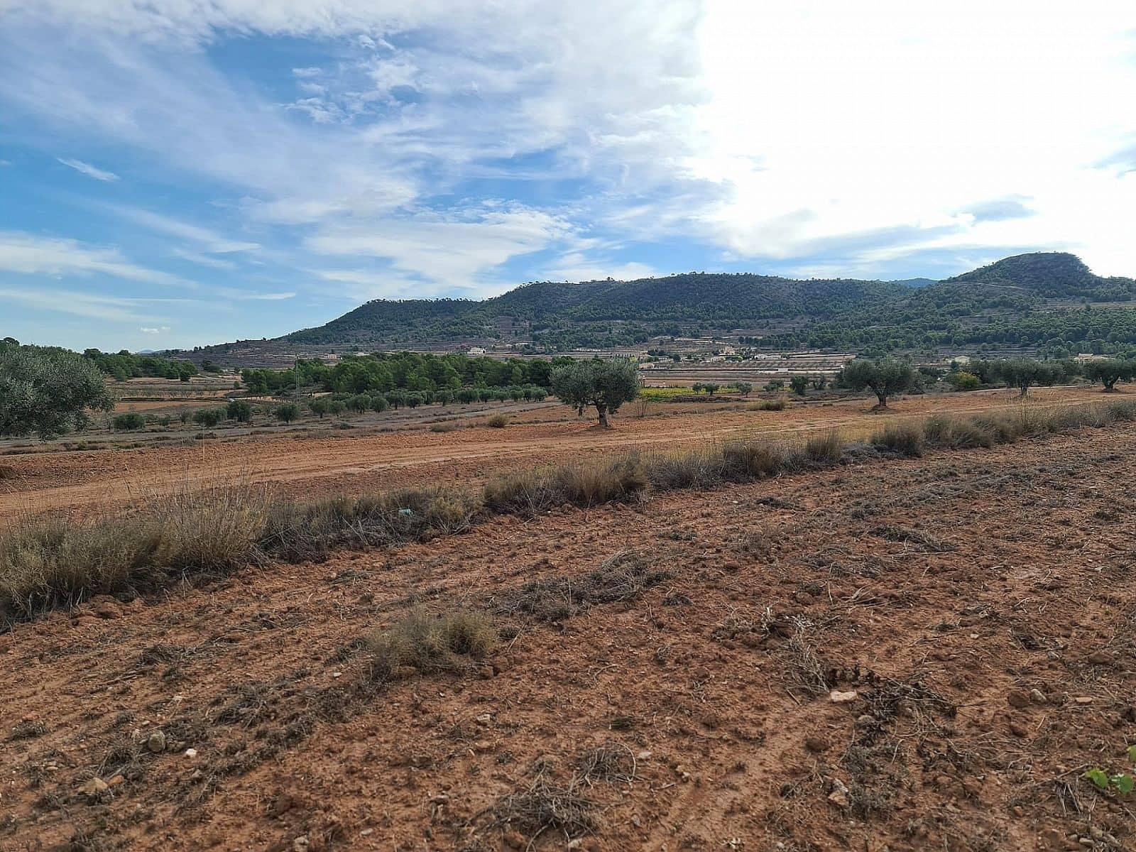 Undeveloped Land for sale in Pinoso - € 35,000 (Ref: 8864712)