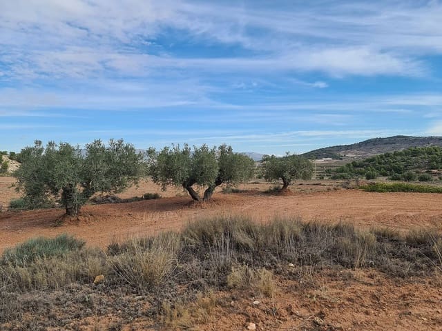 Mark till salu i Pinoso - 35 000 € (Ref: 8864712)