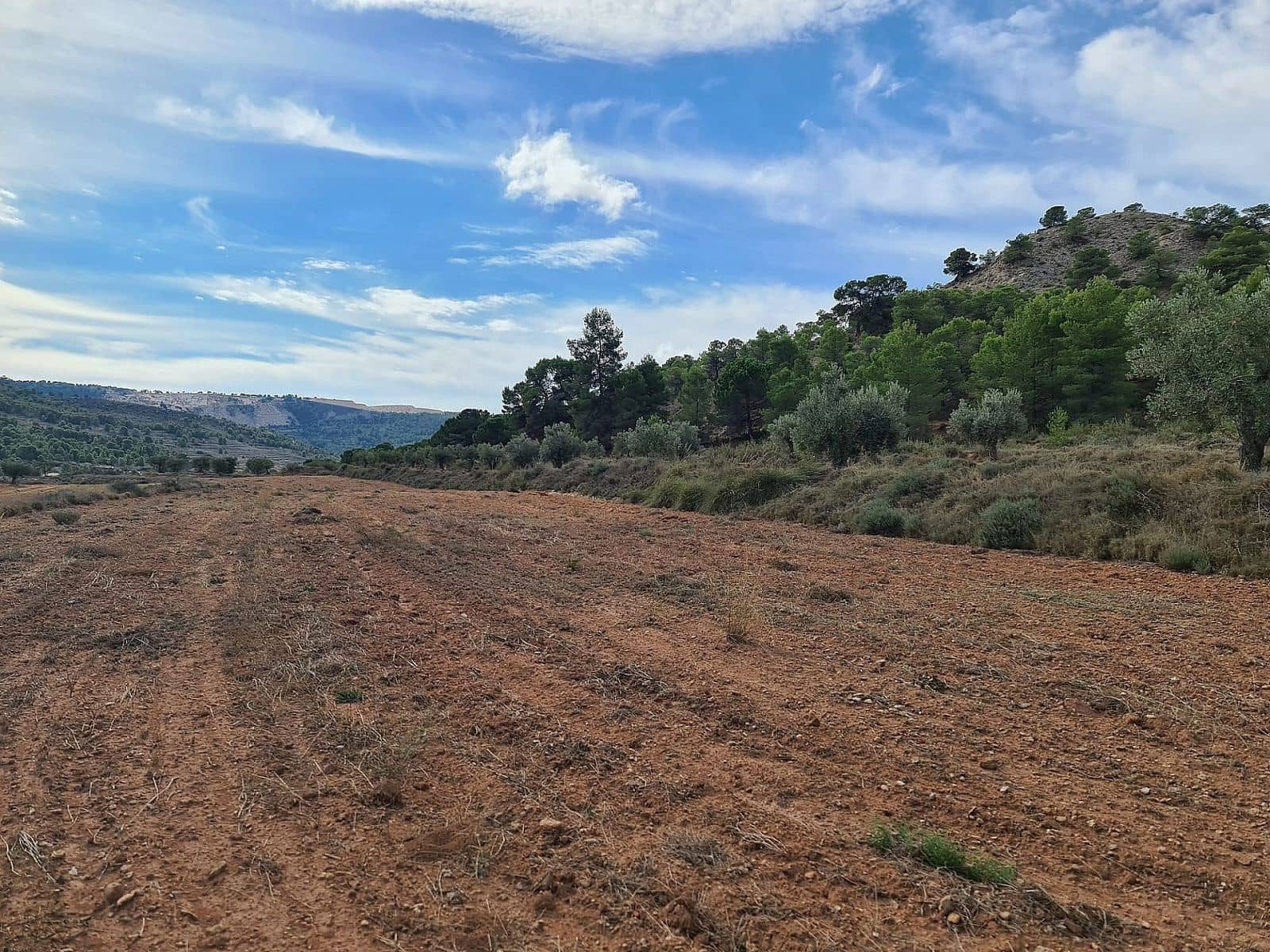Undeveloped Land for sale in Pinoso - € 35,000 (Ref: 8864712)