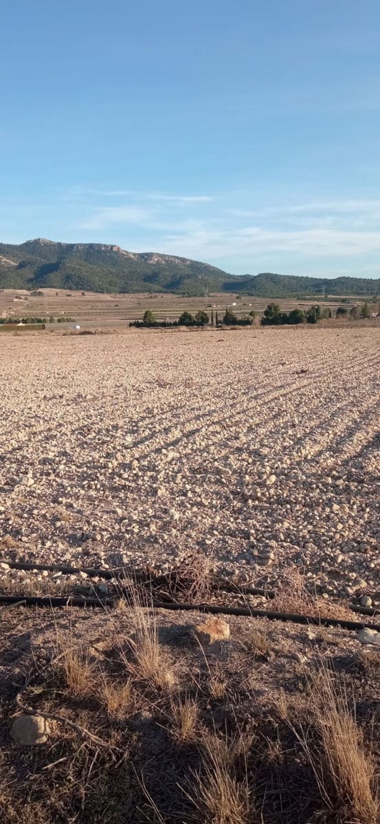 Ubebygd land til salgs i Salinas - € 99 999 (Ref: 8864714)