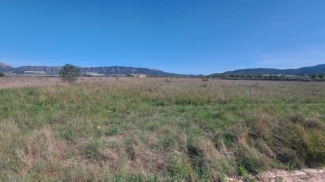 Undeveloped Land for sale in Salinas - € 49,999 (Ref: 8864716)
