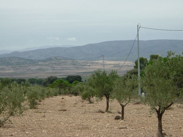 Mark till salu i Biar - 75 000 € (Ref: 8864717)