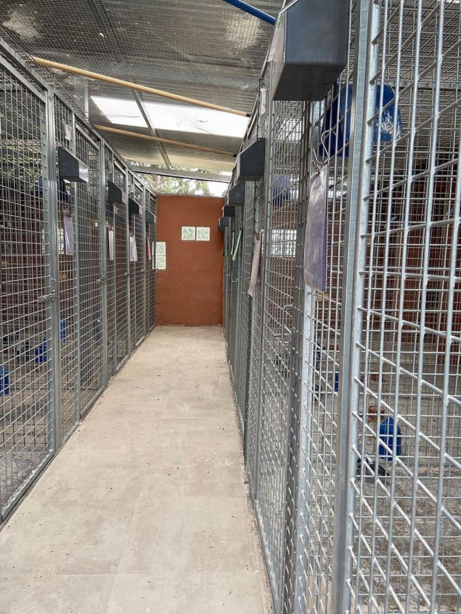 12 sypialnia Komercyjne na sprzedaż w Fortuna - 950 000 € (Ref: 8864755)