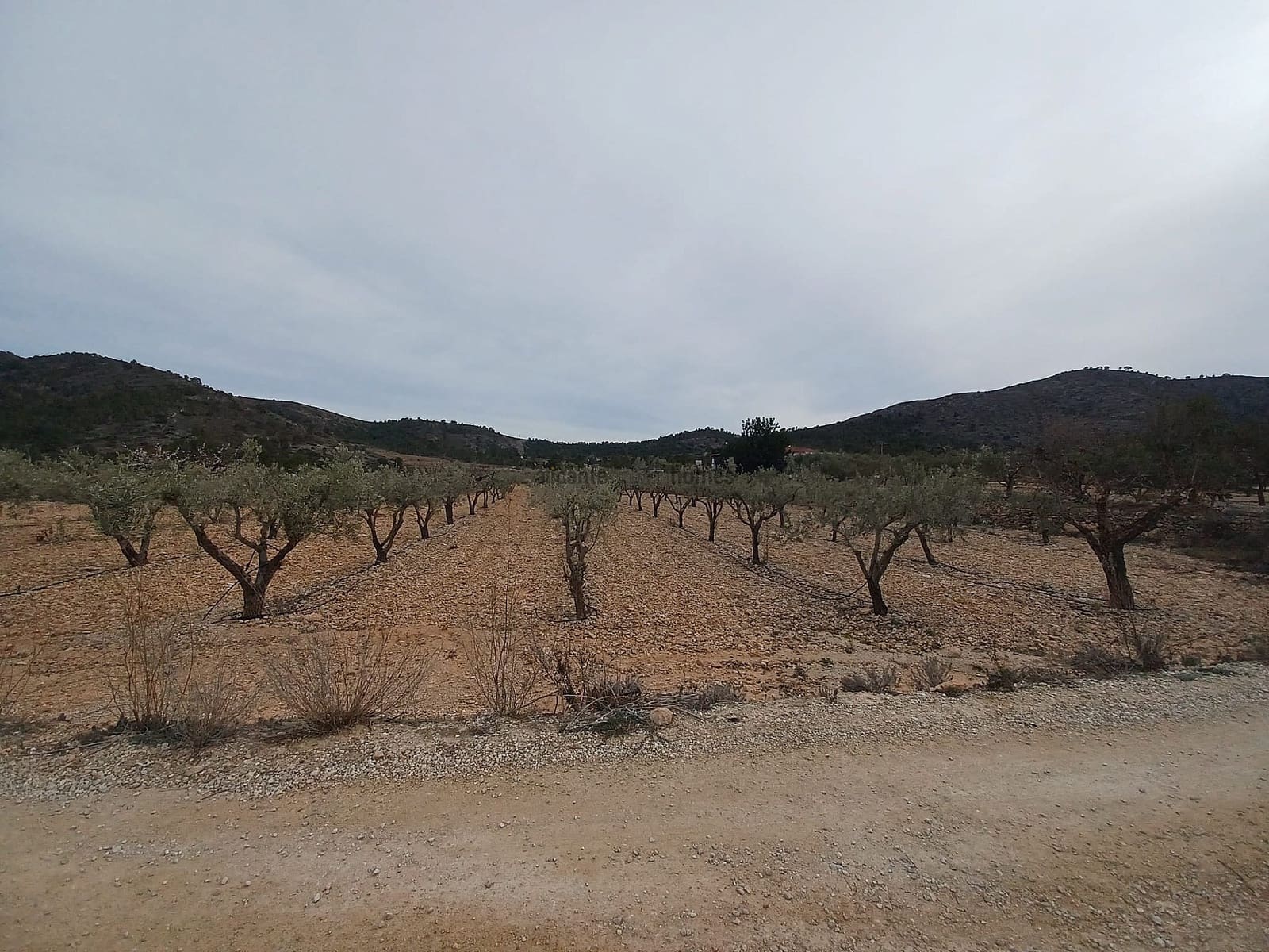 Undeveloped Land for sale in La Romana - € 22,000 (Ref: 8873150)