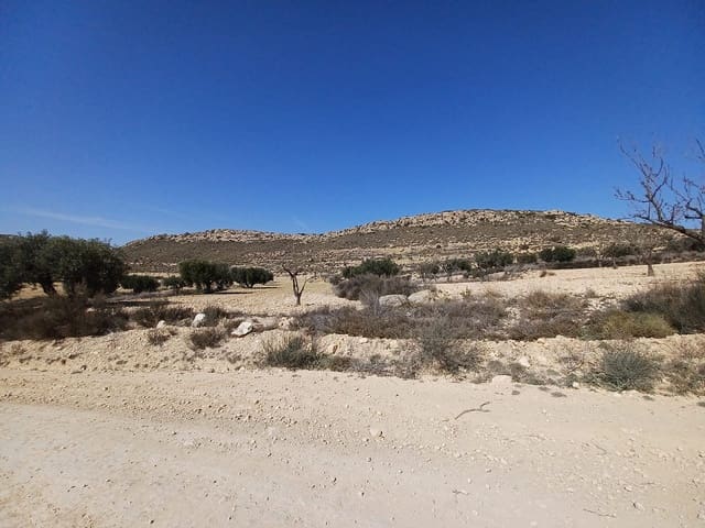 Terre non Aménagée à vendre à Pinoso - 49 995 € (Ref: 8873358)