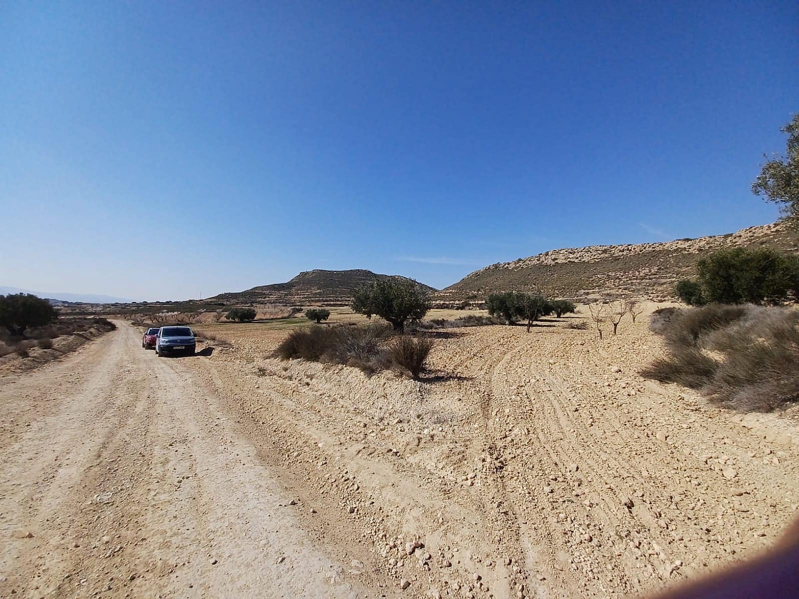 Mark till salu i Pinoso - 49 995 € (Ref: 8873358)