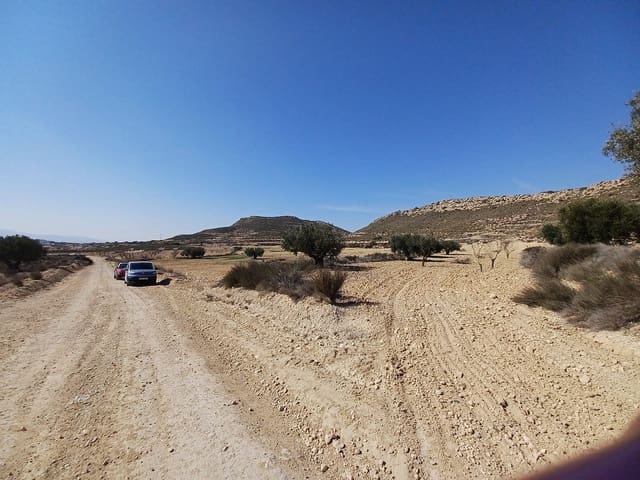 Terre non Aménagée à vendre à Pinoso - 49 995 € (Ref: 8873358)