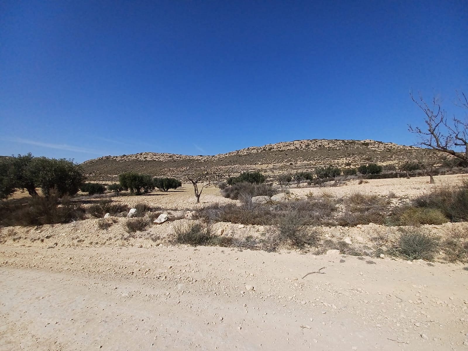 Terreno Não Urbanizado para venda em Pinoso - 49 995 € (Ref: 8873358)