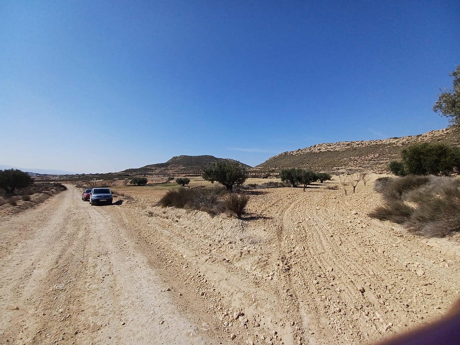 Terreno Não Urbanizado para venda em Pinoso - 49 995 € (Ref: 8873358)