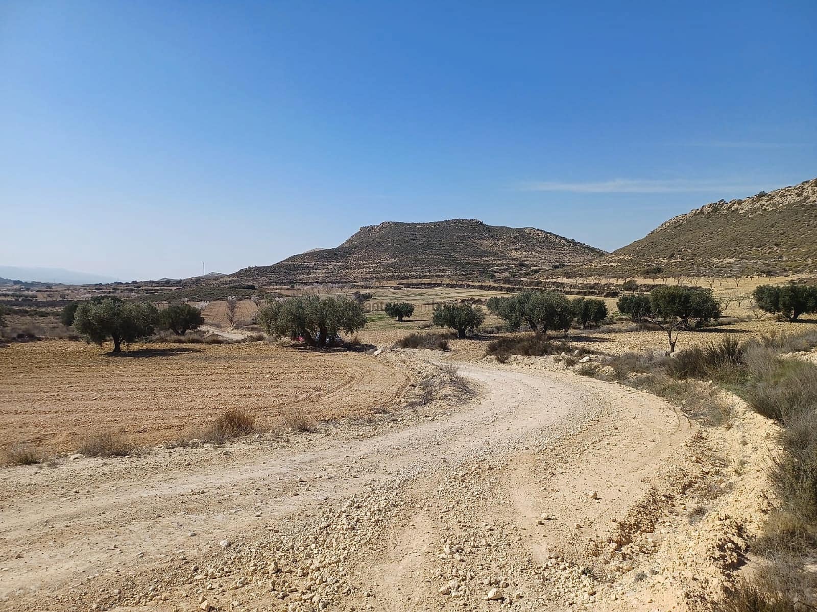 Terreno Não Urbanizado para venda em Pinoso - 49 995 € (Ref: 8873358)