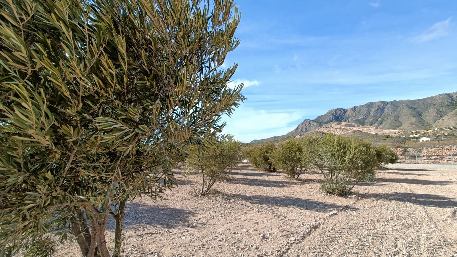 3 soveværelse Villa til salg i Macisvenda - € 300.000 (Ref: 8910318)