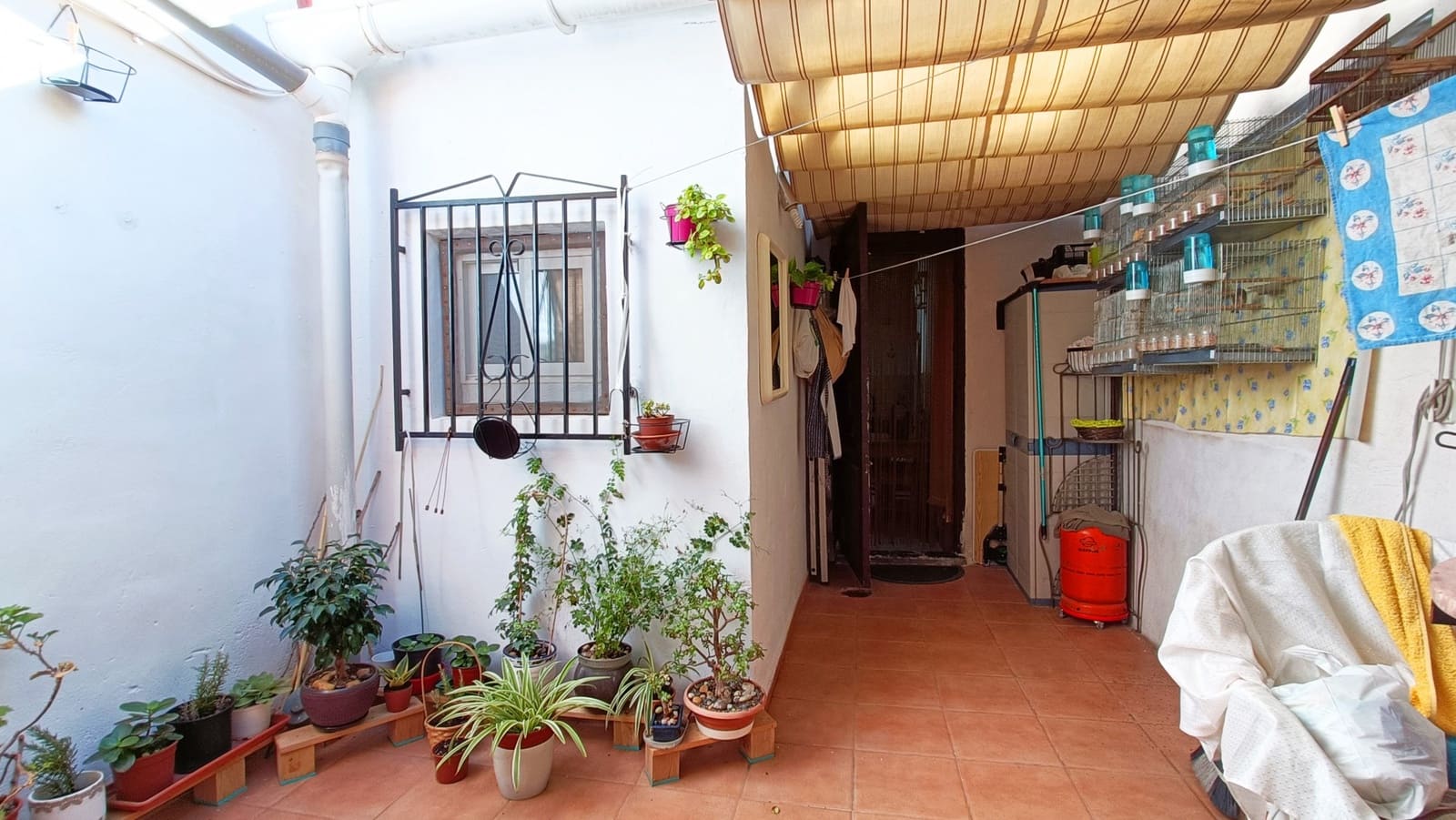 3 sypialnia Dom na sprzedaż w Hondon de los Frailes - 89 950 € (Ref: 8910319)