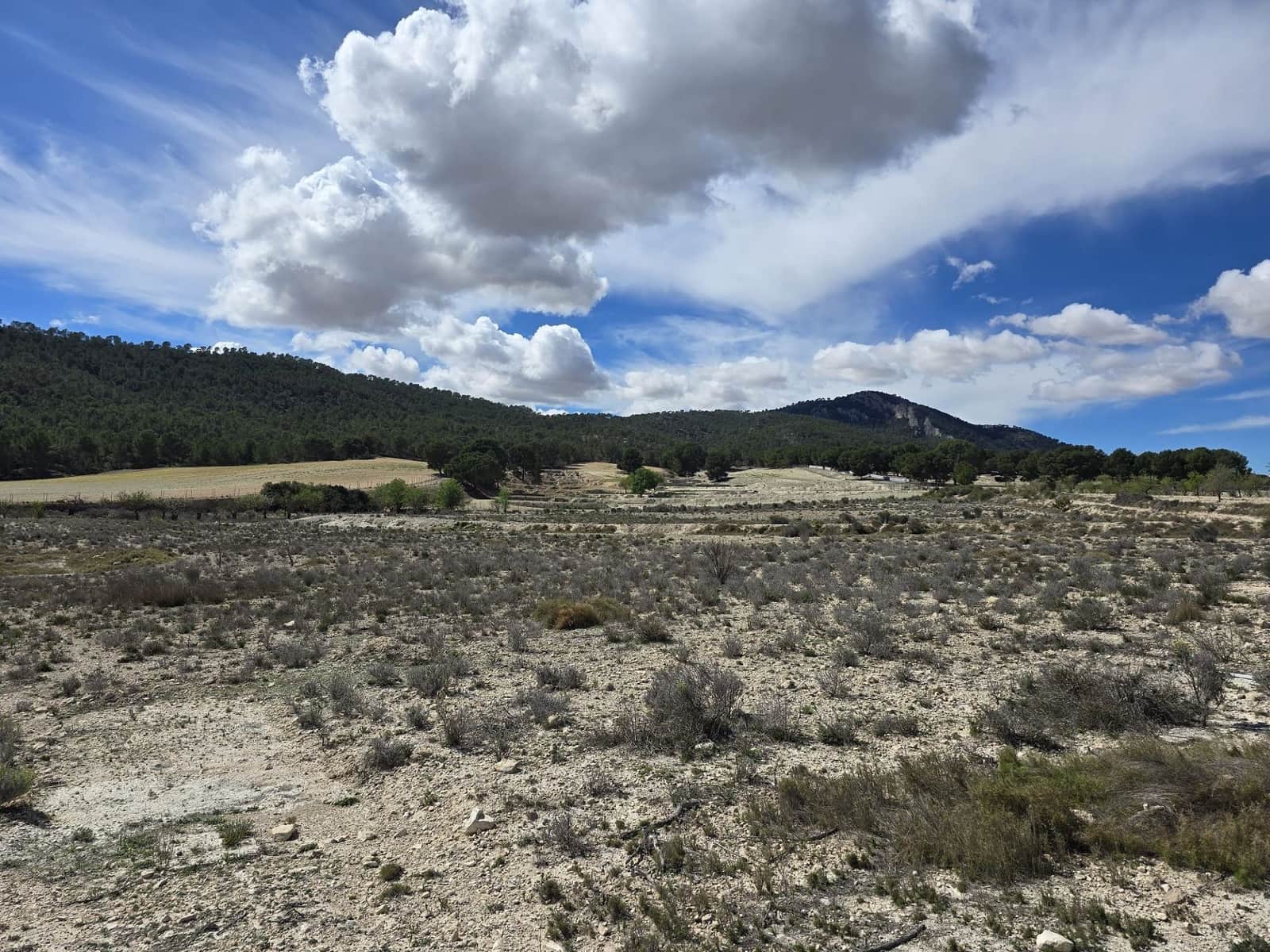 Teren niezagospodarowany na sprzedaż w Salinas - 39 995 € (Ref: 8917762)