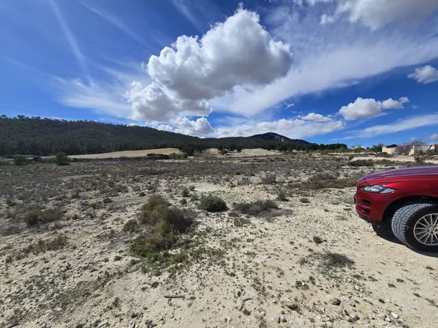 Undeveloped Land for sale in Salinas - € 39,995 (Ref: 8917762)