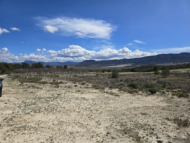 Undeveloped Land for sale in Salinas - € 39,995 (Ref: 8917762)